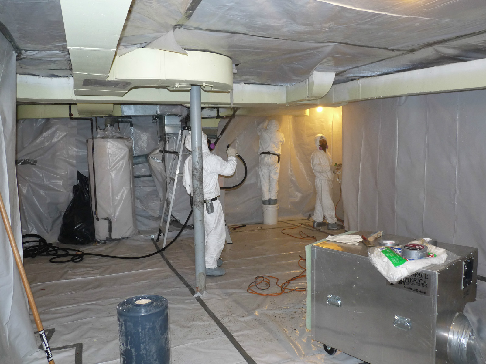 Professional Mold Removal Service